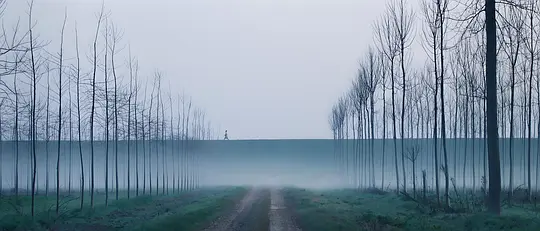电影剧照