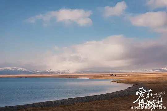 电影剧照