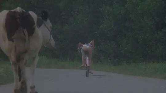 电影剧照
