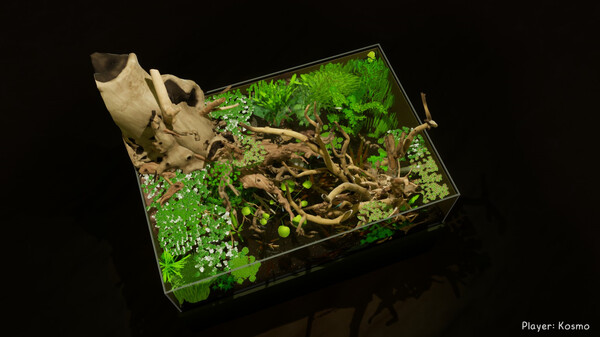 养鱼模拟器 v00.03.24 全DLC(Fish Game)免安装英文版 截图