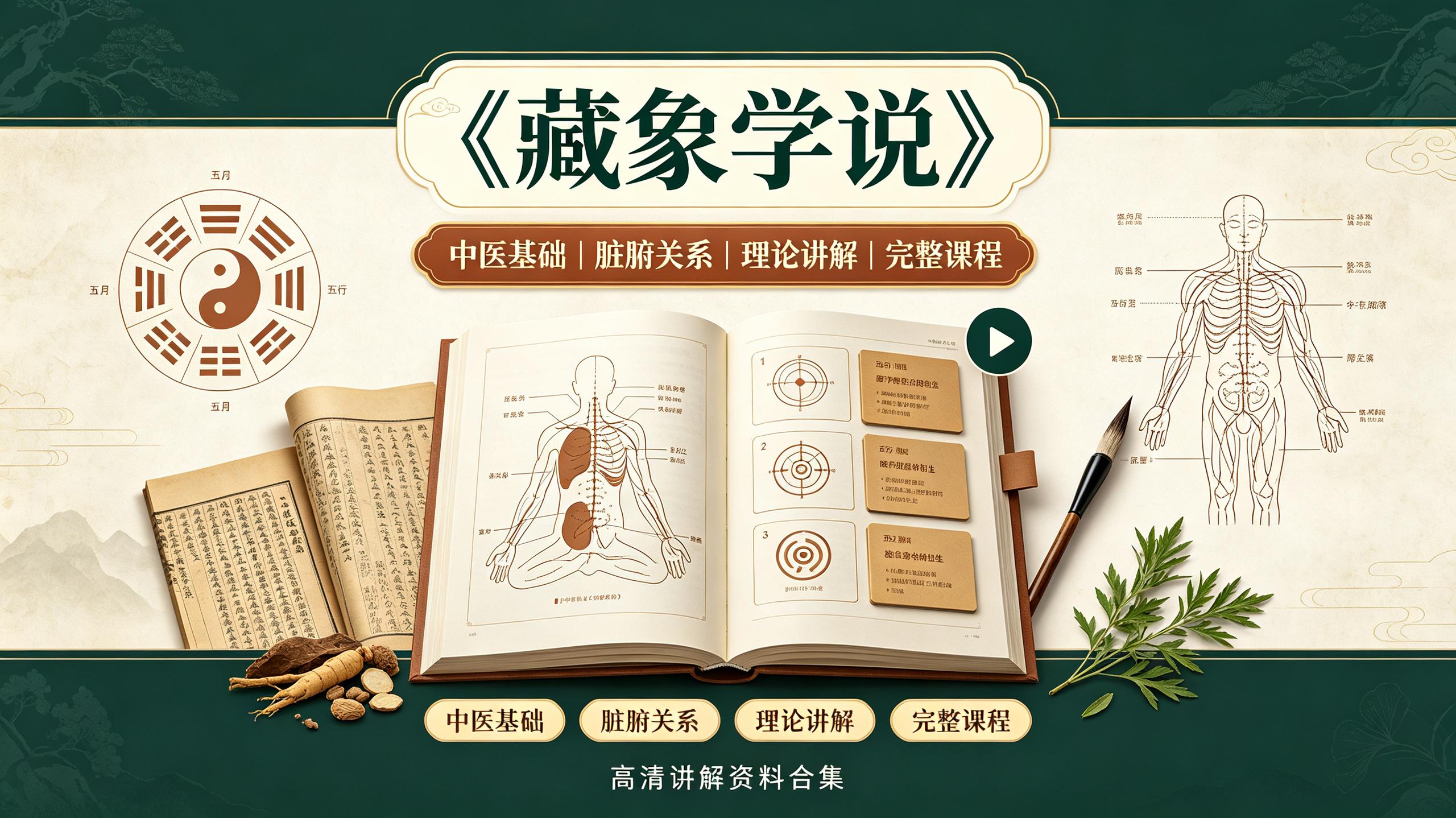 中医课程《藏象学说》【35集】(完结)